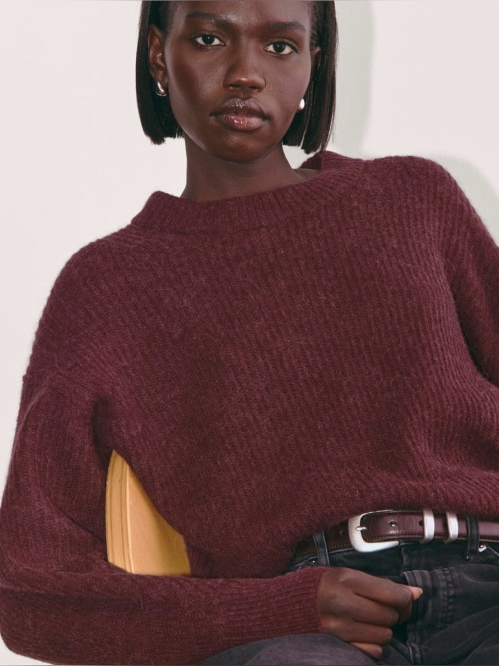 NWOT Everlane Oversized Wool Crew Neck
